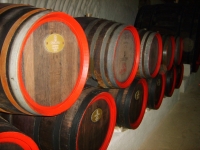 Piwnica wina/ The wine basement