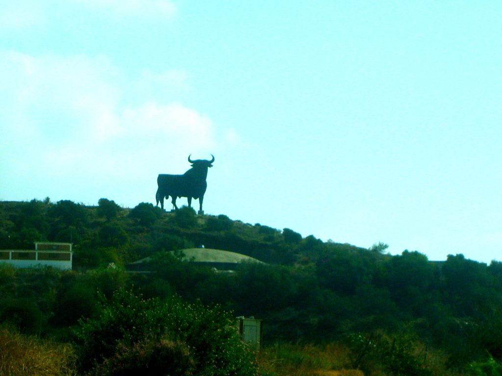 Byk na wzgórzu Andaluzji