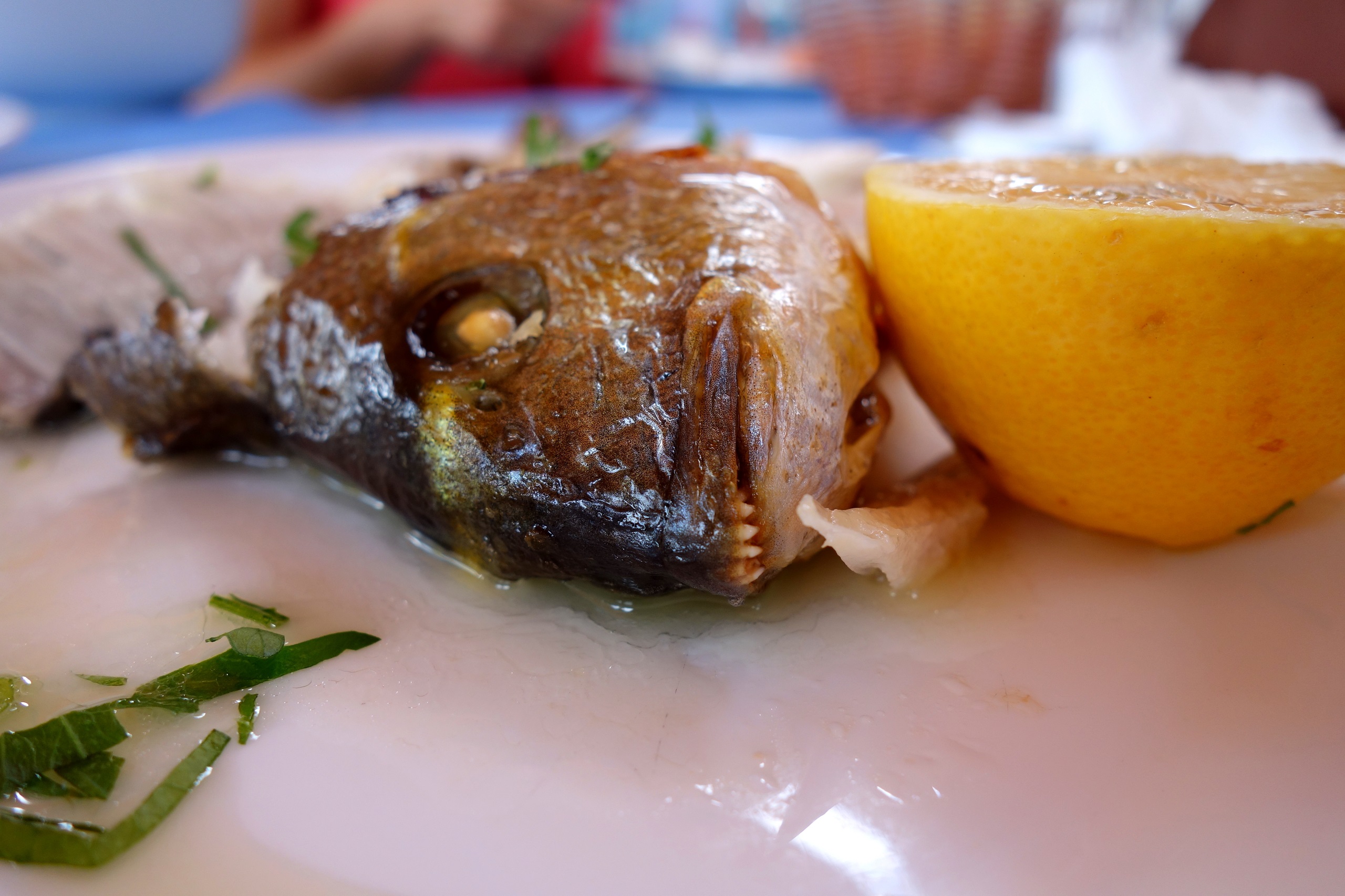 Kuchnia cypryjska - okoń morski
