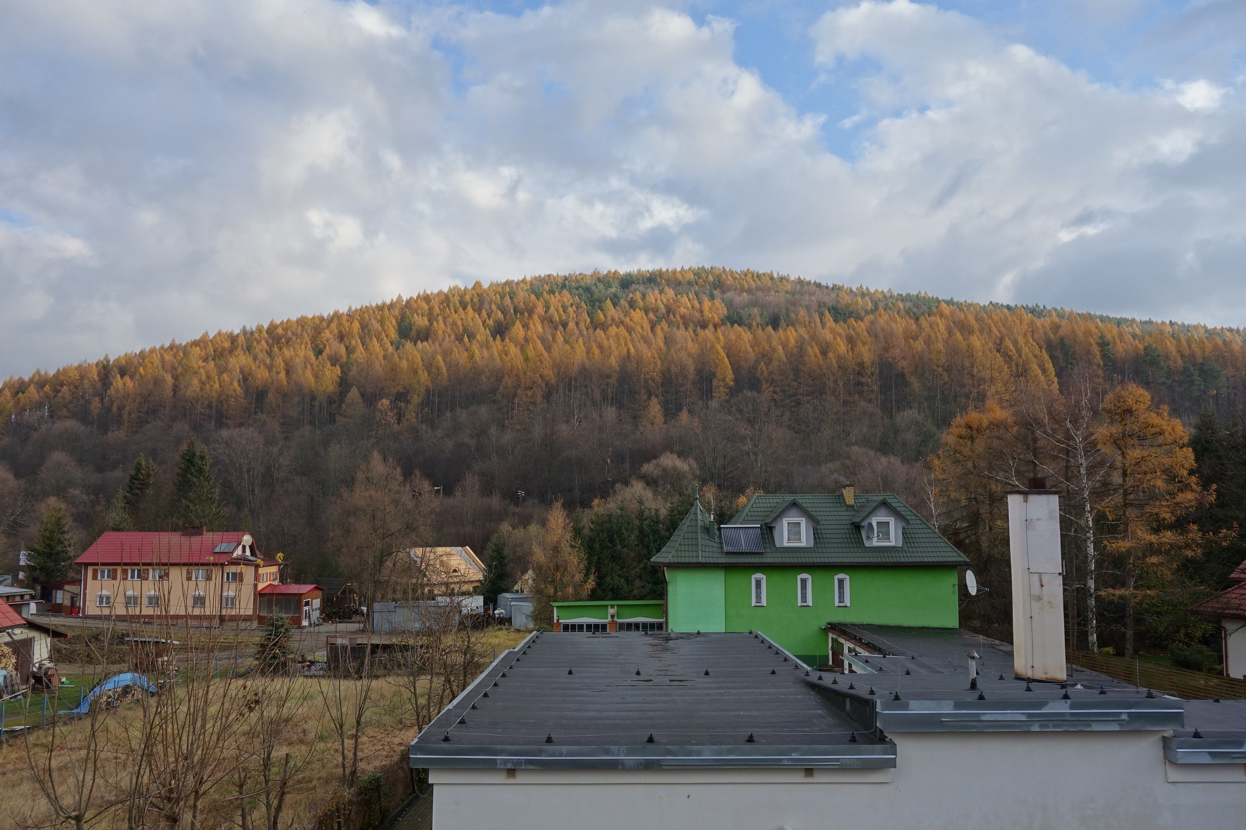 Widok z okna na Bieszczady - Villa Neve