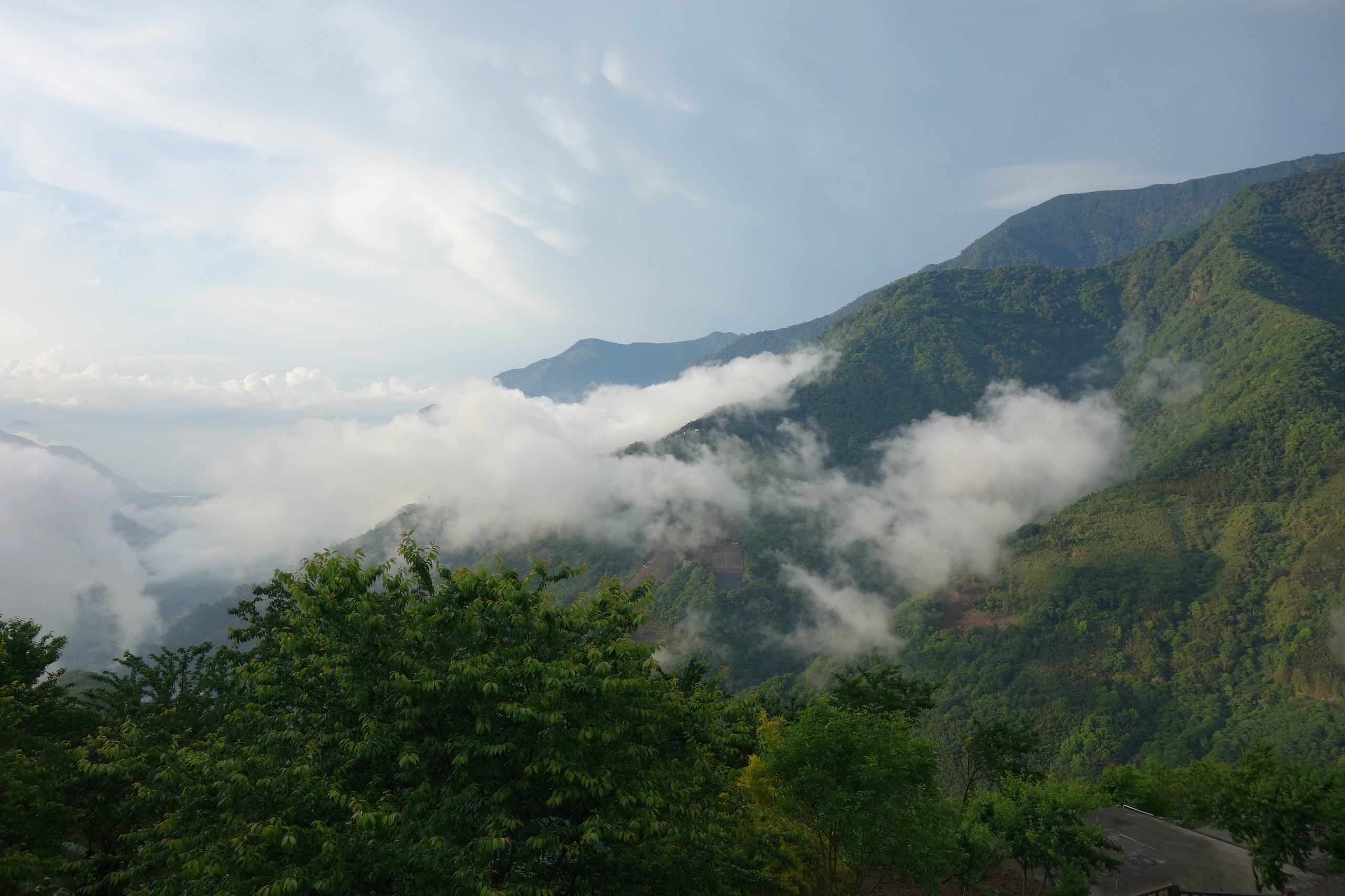 Góry Tajwanu rozkochają w sobie każdego